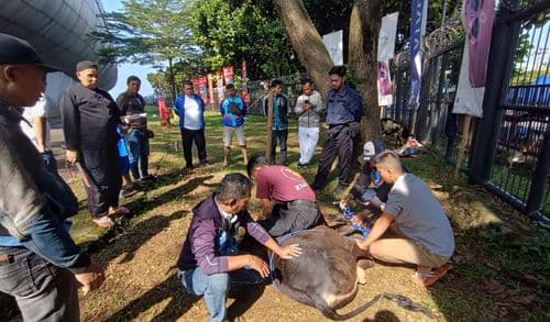 persib Media